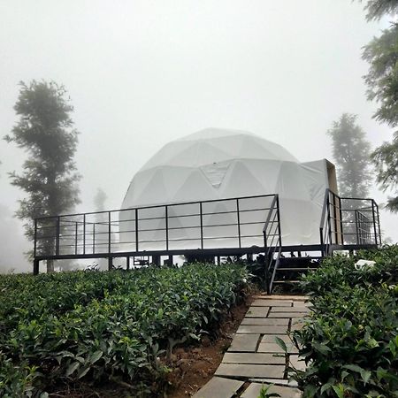 Vythiri Tea Valley I Best Hotel In Wayanad L Hotels In Vythiri Wayanad Exterior photo