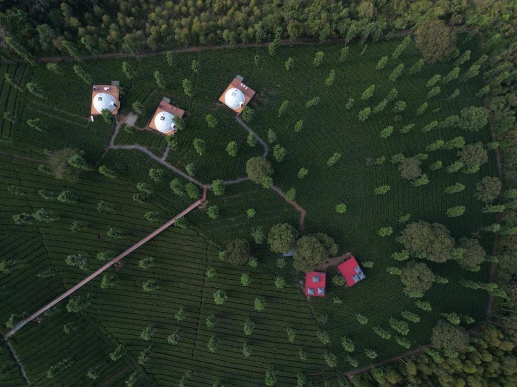 Vythiri Tea Valley I Best Hotel In Wayanad L Hotels In Vythiri Wayanad Exterior photo